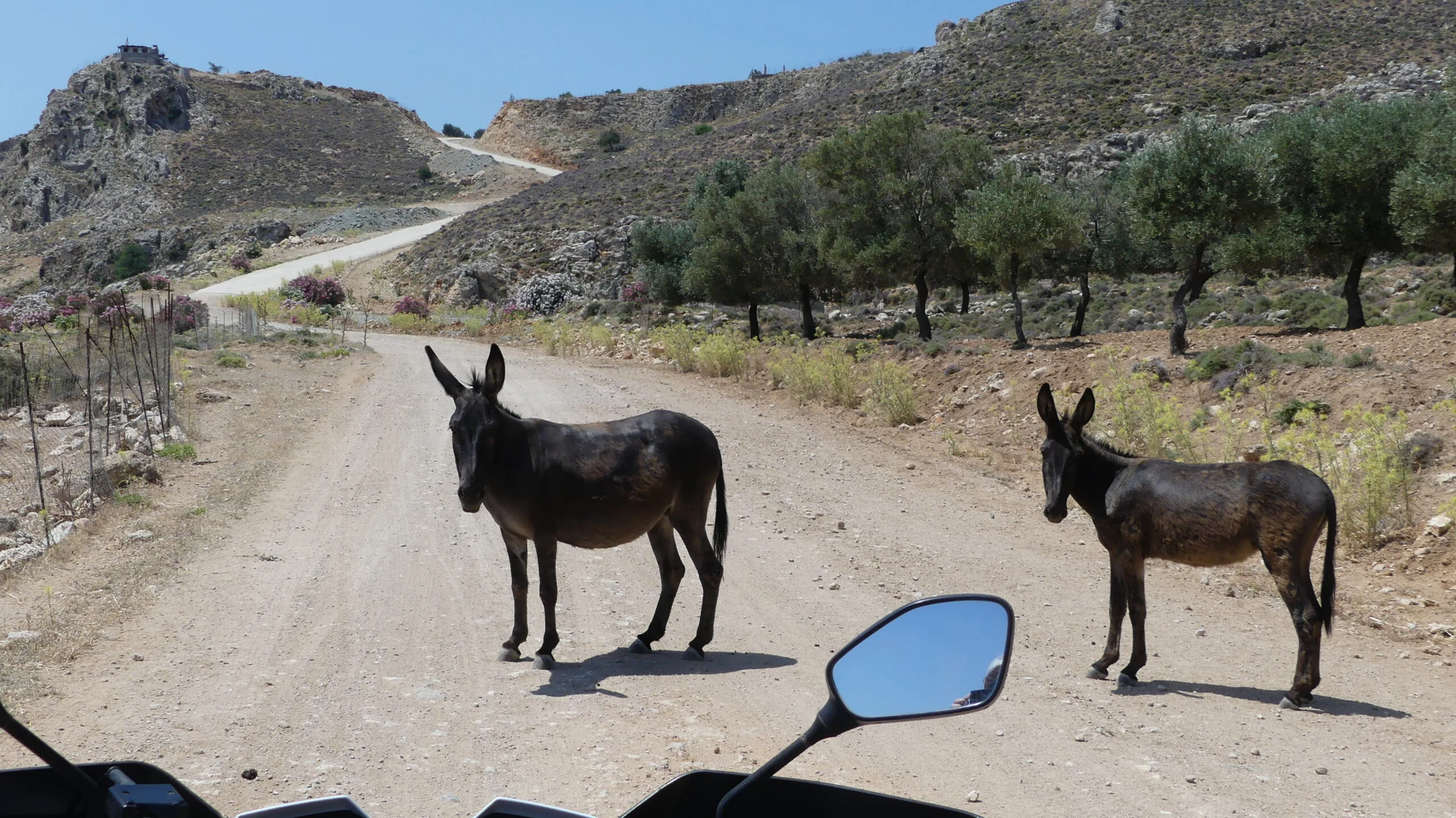 Quad-Safari Kolymbia