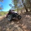 Buggy Safari Archipoli Adventure